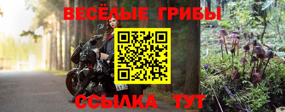 Галлюциногенные грибы прущие грибы Черкесск