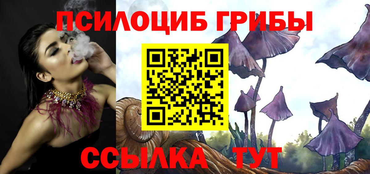 Галлюциногенные грибы ЛСД  Вход с VPN  Черкесск 